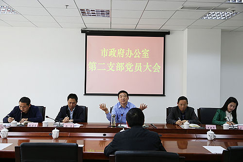 李映参加市政府办公室第二党支部党员大会并讲党课