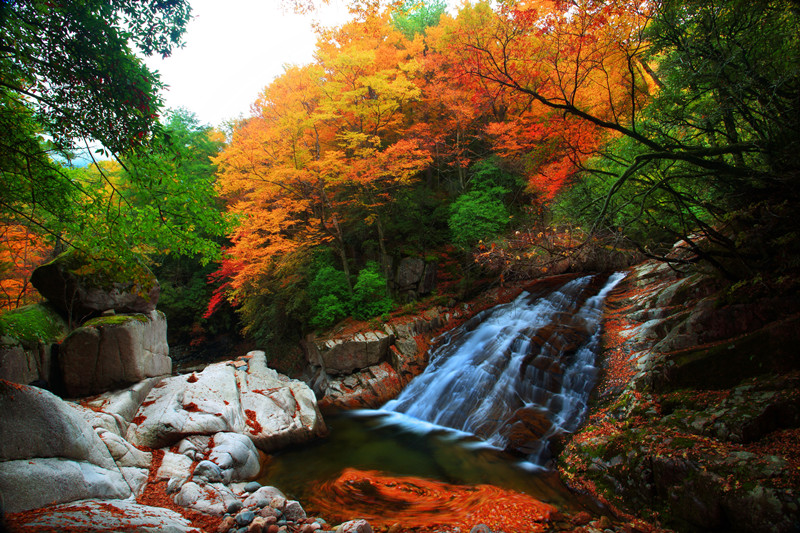 米仓山景区