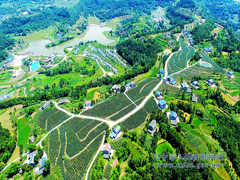 恩阳区柳林镇罐子沟村葡萄产业园_巴中市人民政府